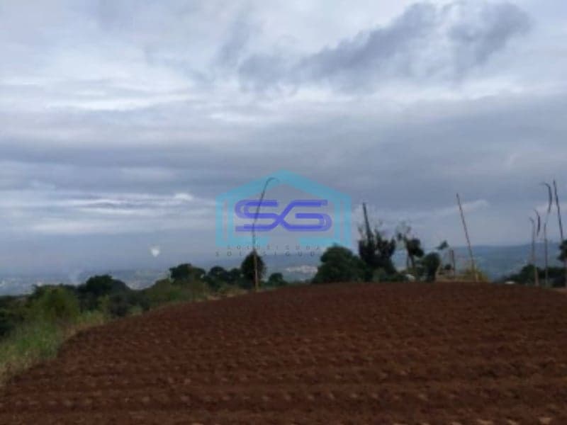 Dijual Tanah di Desa Bojongmurni Ciawi Bogor Luas 50000m2