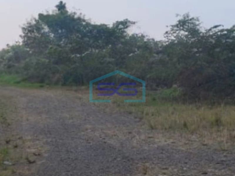 Dijual Tanah Luas 4000 m² Lokasi Pinggir Jalan Gunung Sindur Bogor