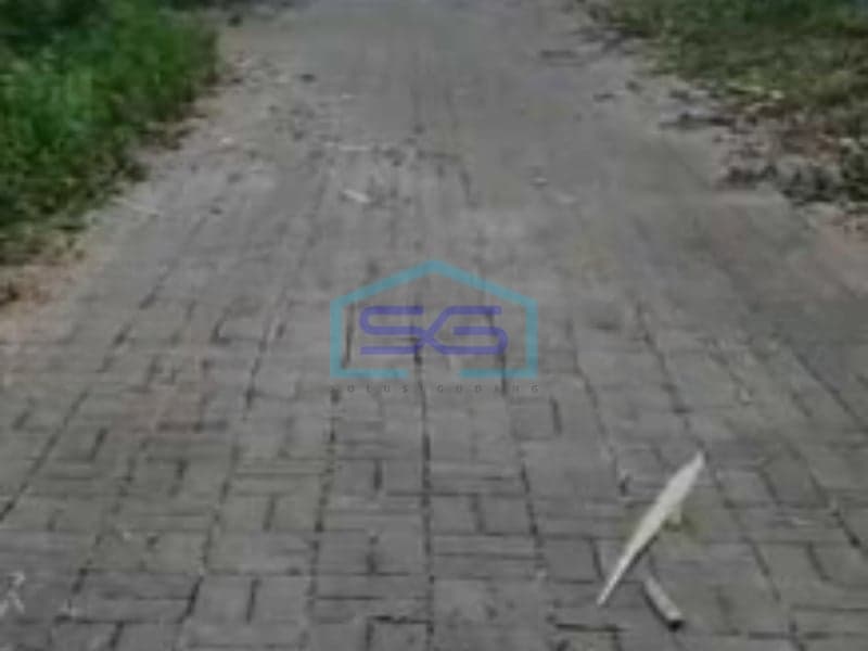 Dijual Tanah Bebas Banjir di Magelang Jawa Tengah Luas Tanah 3000 m2