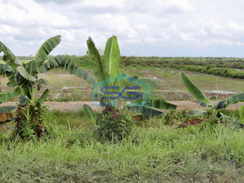 Dijual Kavling Tanah Industri Luas Tanah 20 Ha Sumatera Selatan