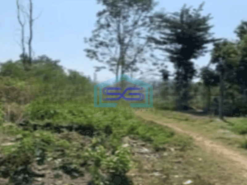 Dijual Tanah Zona Kuning Strategis Bendosari, Sukoharjo luas 49777m2