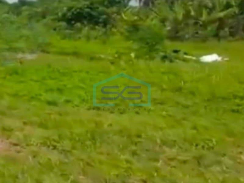 Dijual Tanah Bebas Banjir Luas 90000 m² Lokasi di Legok Tangerang Banten