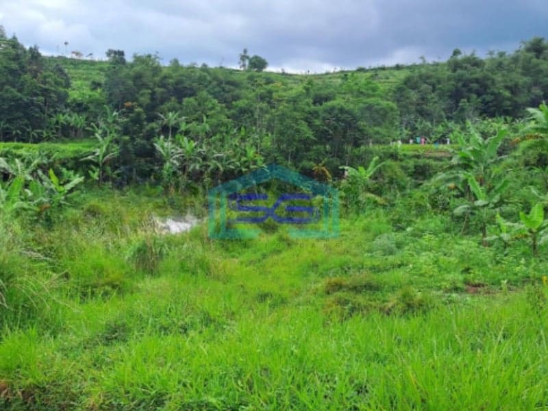 Dijual Tanah Darat Lokasi di Cigombong Bogor Luas Tanah 4 Hektar