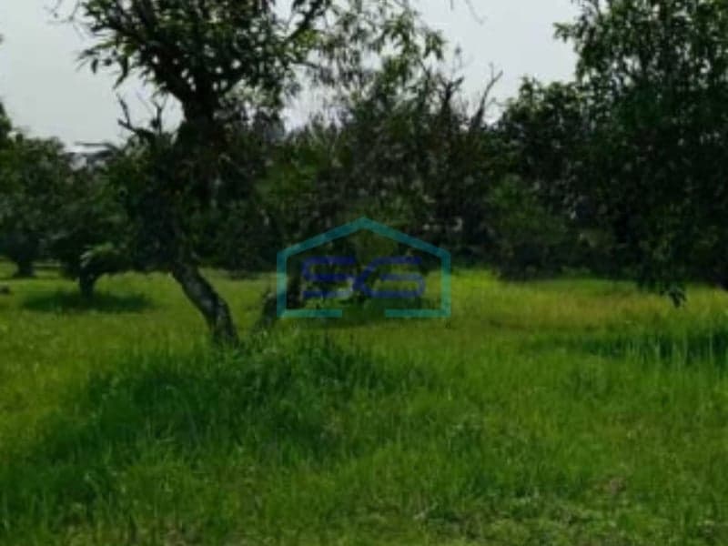 Dijual Tanah Luas 45000 m² Bebas Banjir di Tigaraksa Tangerang Banten