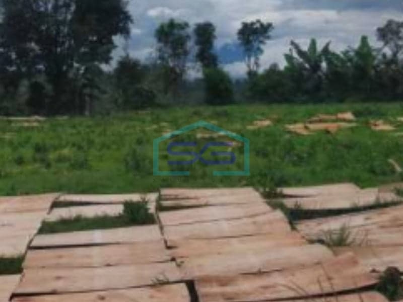 For Sale: Spacious 3000 m² Flood-Free Land in Magelang, Central Java