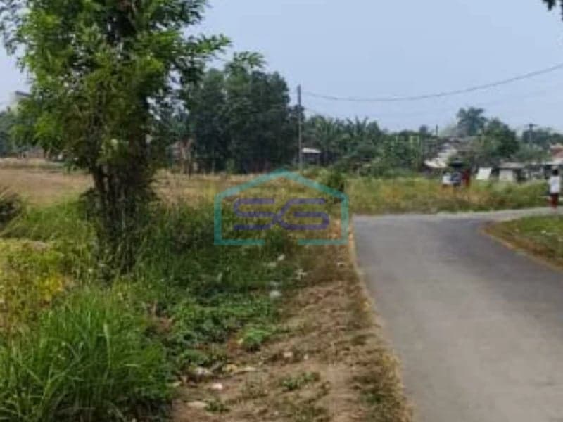 Dijual Lahan Tanah Luas 5 Ha Lokasi di Cileles Lebak Banten