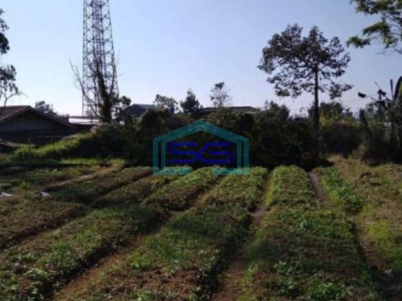 Dijual Tanah Letak Strategis di Pacet Cianjur Luas Tanah 4996m2