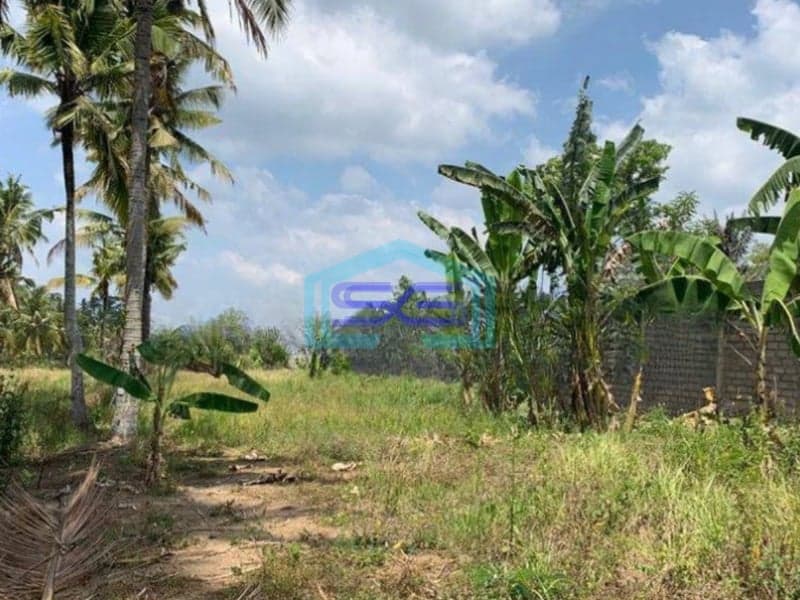 Dijual Tanah di Ubud Gianyar Luas Tanah 35000 m²