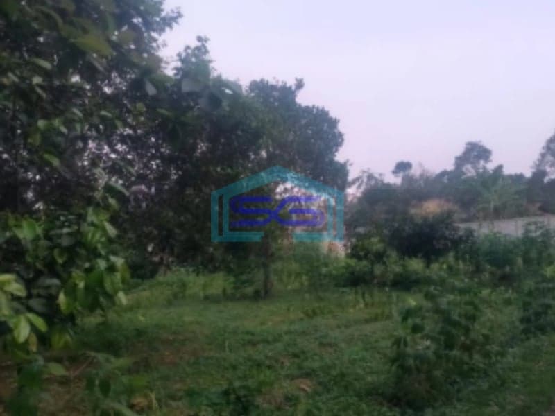 Dijual Tanah Cibalung Cijeruk Bogor LT 6000m2 Kontur Datar