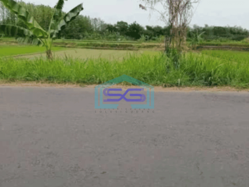 Dijual Tanah industri Lokasi Pedan Klaten Luas 8000m2