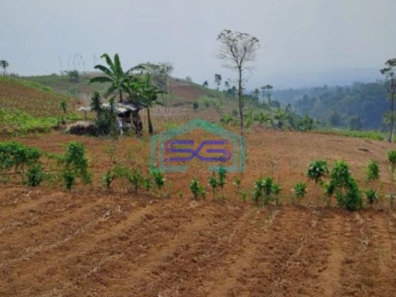 Dijual Tanah Siap Bangun Di Pancawati Caringin Bogor Luas Tanah 2000m2