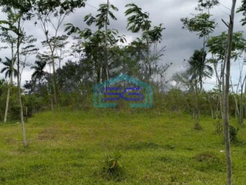 Dijual Tanah Luas 7320 m² Lokasi Bebas Banjir di Pakisaji Malang