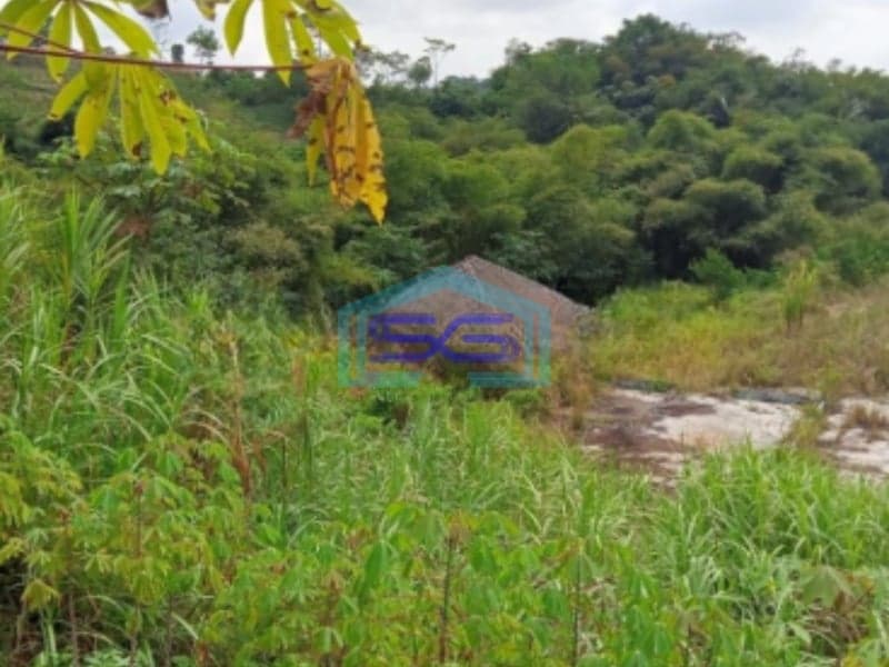 Dijual Tanah Strategis di Cibadak Sukabumi Luas Tanah 120000m2