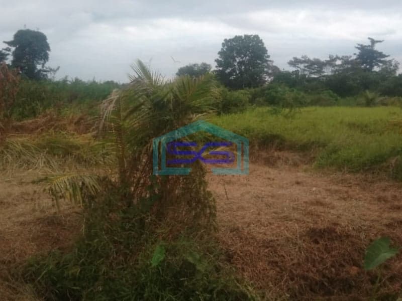 Dijual Lahan Talang Keramat Banyuasin Sumatera Selatan Luas Tanah 60000m2