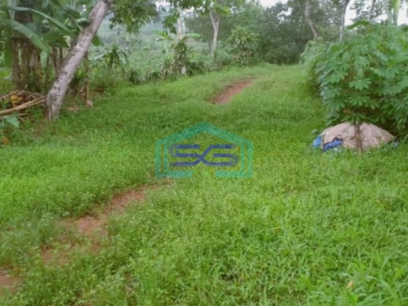 Dijual Tanah di Pingir Jalan Raya Provinsi Lewiliang Rumpin Bogor Luas Tanah 50000m2