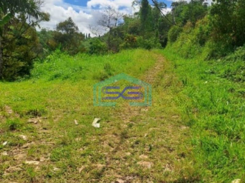 Dijual Tanah di Jalan Terobosan Cipayung Megamendung Bogor LT 120000m2