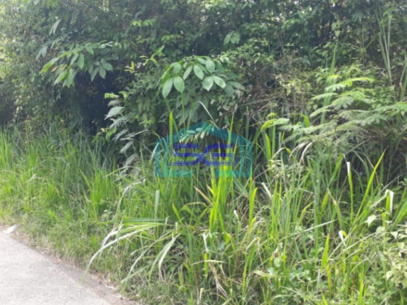 Dijual Murah Tanah Indralaya Jalintim Palembang Prabumulih Sumatera Selatan LT 19980m2