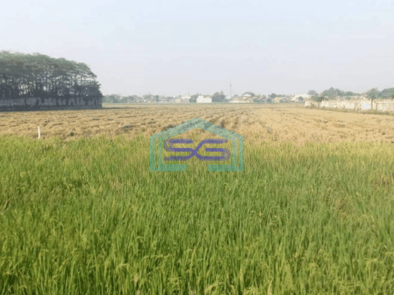 Dijual Tanah Lokasi Strategis Pinggir Jalan Raya Karawang Barat Luas Tanah  57000 m²