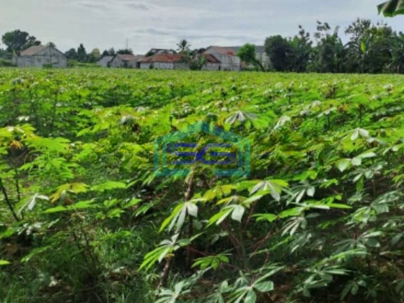 Dijual Tanah Ciseeng Bogor di Pinggir Jalan Raya Luas Tanah 27000m2