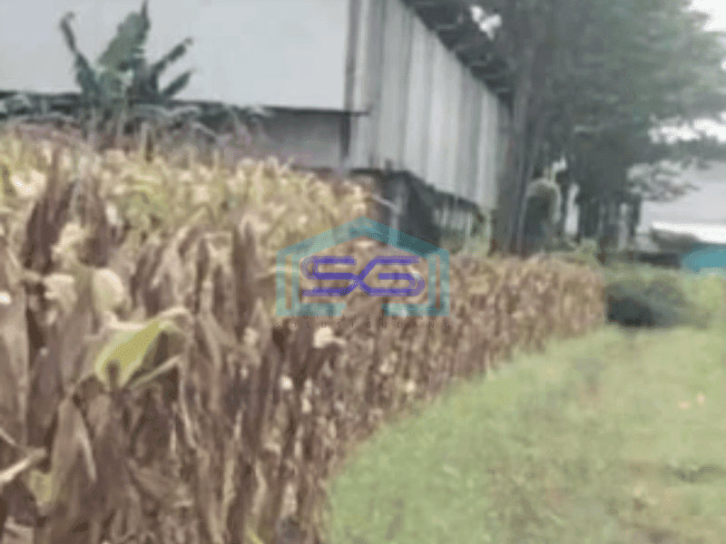 Dijual Tanah Strategis Industri Lokasi Karangawen Demak Luas 10 Hektar