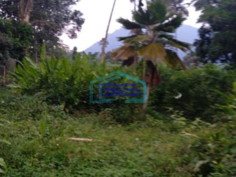 Dijual Tanah Sentul City Desa Bojongkoneng Bogor Luas Tanah 10000m2