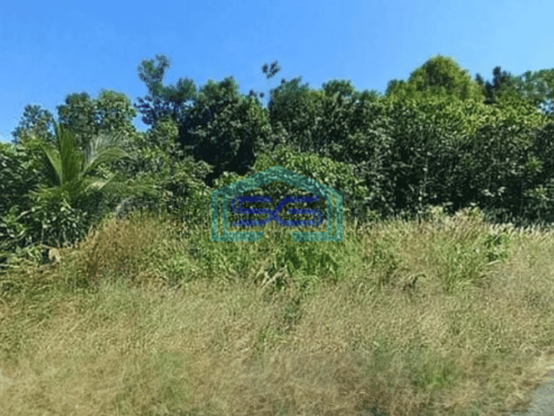Dijual Tanah Di Pulau Maratua Berau Luas Tanah 18409 m²