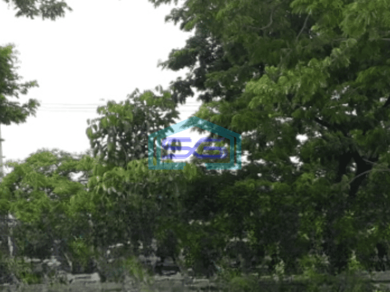 Dijual Tanah Murah Luas 9520 m²  Lokasi Kenjeran Surabaya