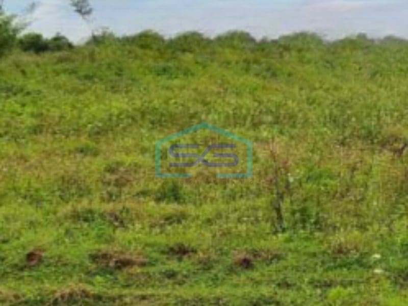 For Sale Land 425000 m² Flood-Free Location in Tigaraksa Tangerang Banten