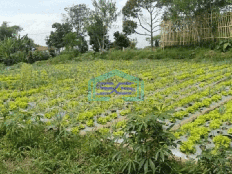 Dijual Tanah Cepat Di Katumiri Luas Tanah 3470 m² Bandung
