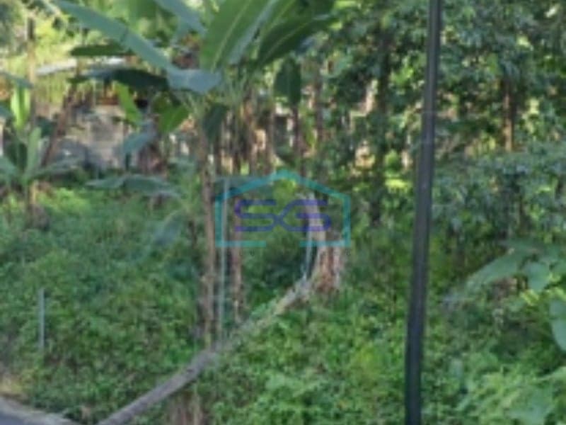 Dijual Tanah di Jalan Jl Ahj Purukan, Minahasa Utara Dengan Luas 80000 m²