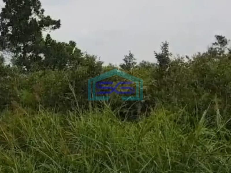 Dijual Tanah Murah Sematang Borang di Lokasi Strategis Palembang Luas 4556m2