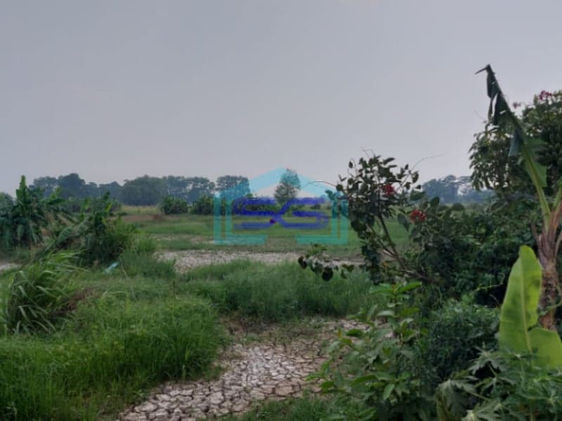 Dijual Tanah Strategis di Lokasi Pegayut Pemulutan Ogan Ilir Sumatera Selatan LT 50425m2