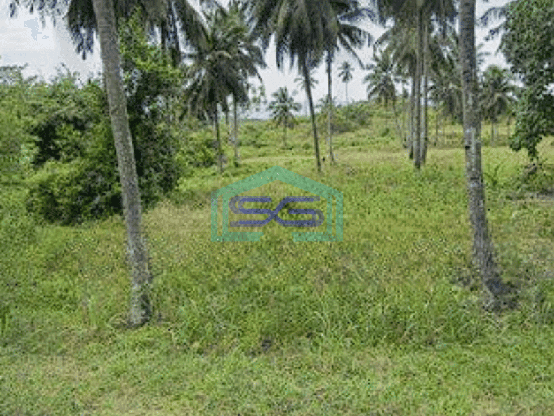 Dijual Tanah 2 Ha Di Kema Minahasa Utara Cocok Buat Industri Dan Gudang