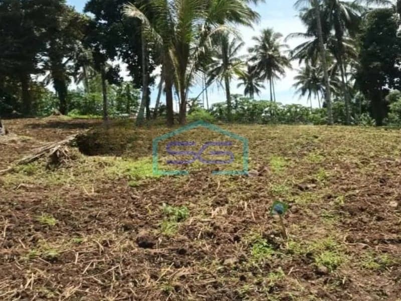 Dijual Tanah Luas 1,3Ha di Airmadidi Minahasa Utara Sulawesi Utara