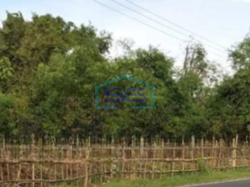 Dijual Tanah Luas 7965 m² Lokasi di Bangkalan Madura