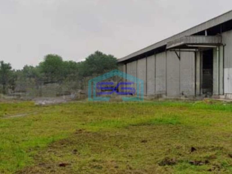 Dijual Gudang Luas Tanah  28.500 m² Lokasi Bebas Banjir di Lebak Banten