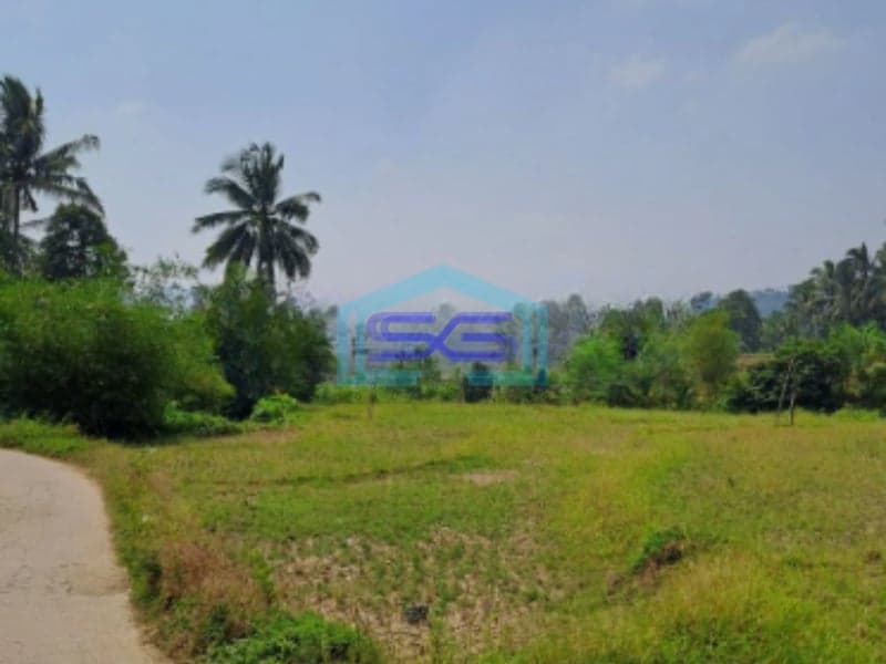 Dijual Tanah Lokasi di Pabuaran Bogor Jawa Barat LT 1200m2