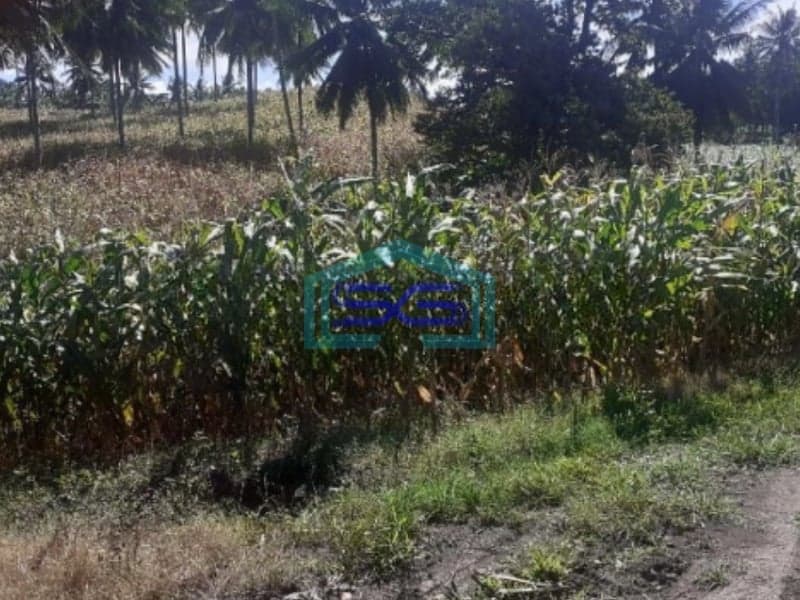 Dijual Tanah di Belakang Pabrik Coca Cola Kauditan Pas For Pabrik Kauditan, Minahasa Utara Luas Tanah 35000m2