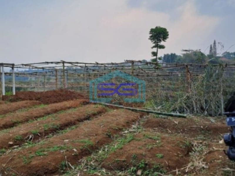 Dijual Tanah di Desa Gunung Gelis Sukaraja Bogor Luas Tanah 25000m2