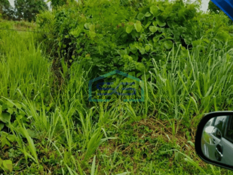 Dijual Tanah Dekat Pengadilan Terpadu di Jalan Adipura, Manado LT 100000 m²