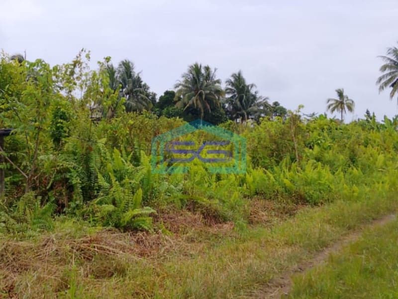 Dijual Tanah Di Talang Keramat Banyuasin Sumatera Selatan LT 22000m2