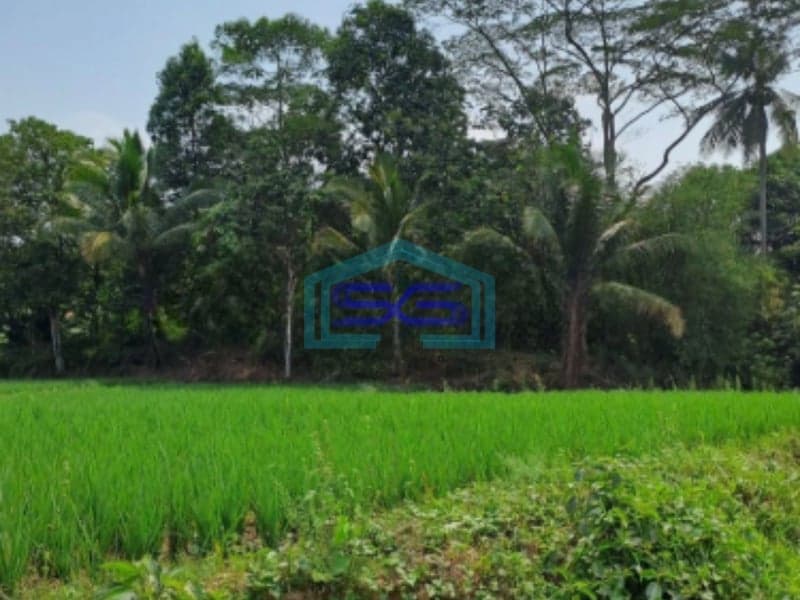 Dijual Tanah Lokasi di Pabuaran Bogor Jawa Barat LT 1200m2