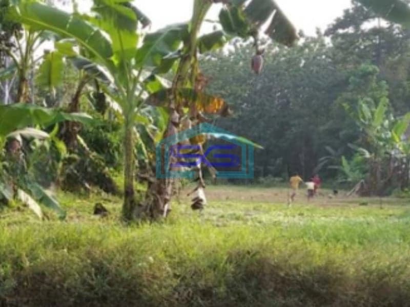 Dijual Tanah Strategis Siap Bangun di Jalan Raya Muntal Boja Kaliwungu Semarang LT 1278m2