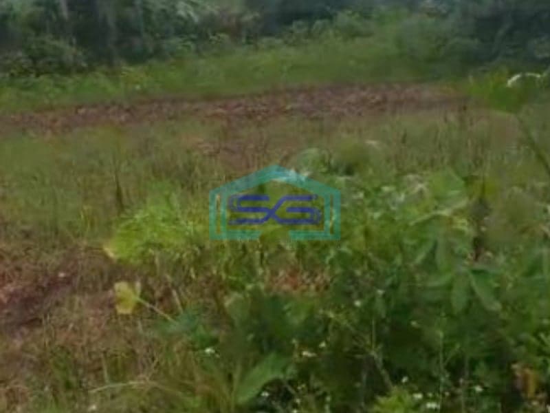 Dijual Tanah di Tigaraksa Tangerang Luas Tanah 3320 m²