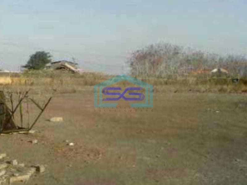 Disewakan Tanah Luas 40000 m²  Lokasi Manyar Gresik Jawa Timur