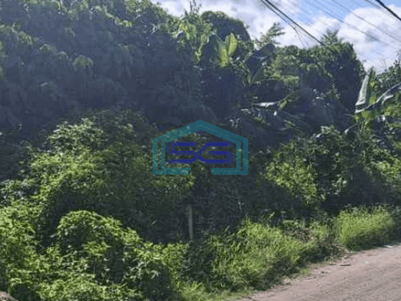 Disewakan Tanah Gudang Manufaktur Dekat Kerobokan Badung Bali Denpasar Luas 20000m2