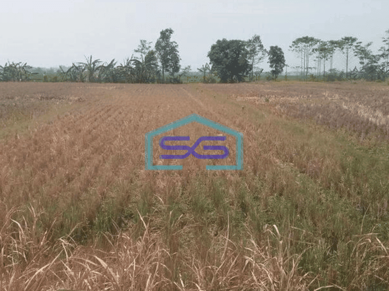 Dijual tanah mainroad jln raya cipatik soreang