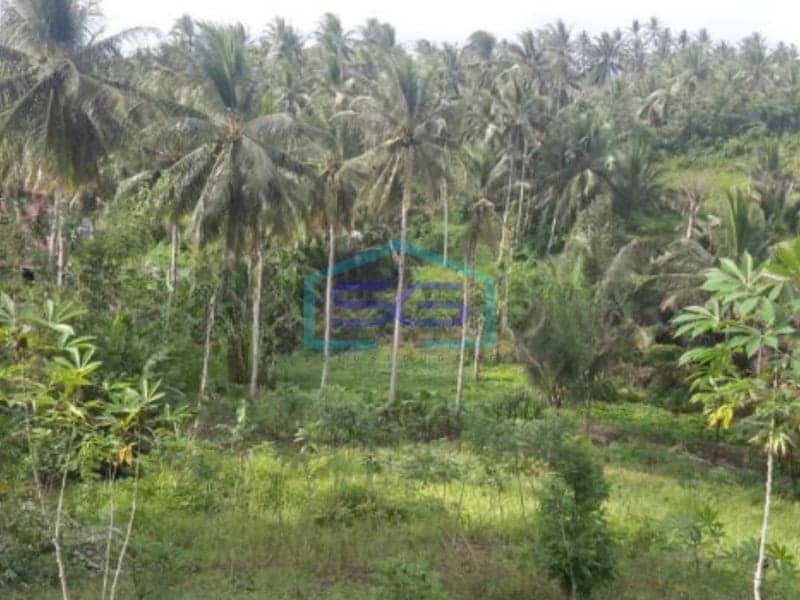 Dijual Tanah Di Samping Hotel Ndc Molas Di Tuminting, Manado Luas Tanah (PxL)  50000 m²