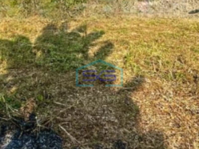 Disewakan Tanah Luas 2067 m² Lokasi di Semarang Jawa Tengah
