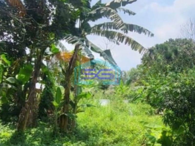 Dijual Murah Tanah Lokasidi Jl. Buaran Kec Serpong Ciater Tangerang LT 17702m2